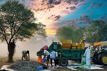 Harvesting the Future