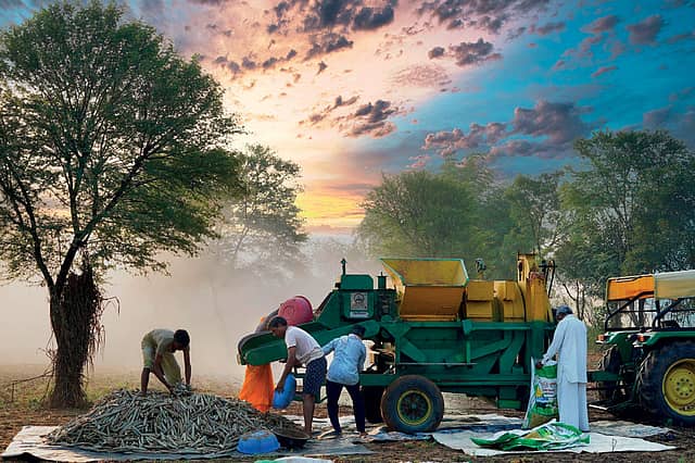 Harvesting the Future