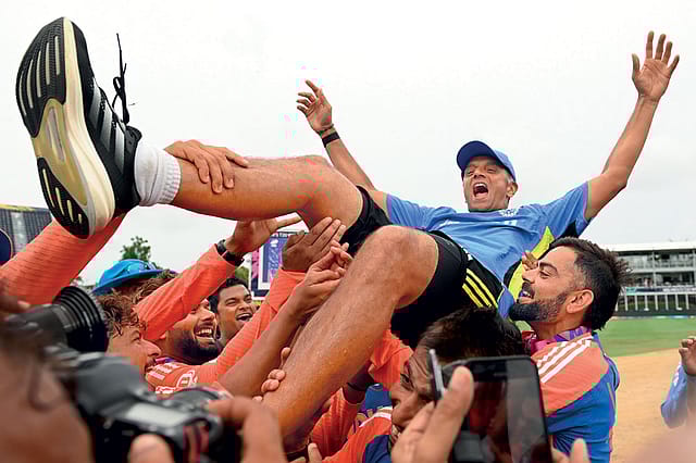 The Great Wall of Cricket