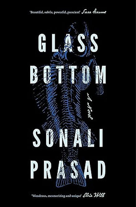 Cover of Glass Bottom