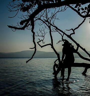 Between Land and Water