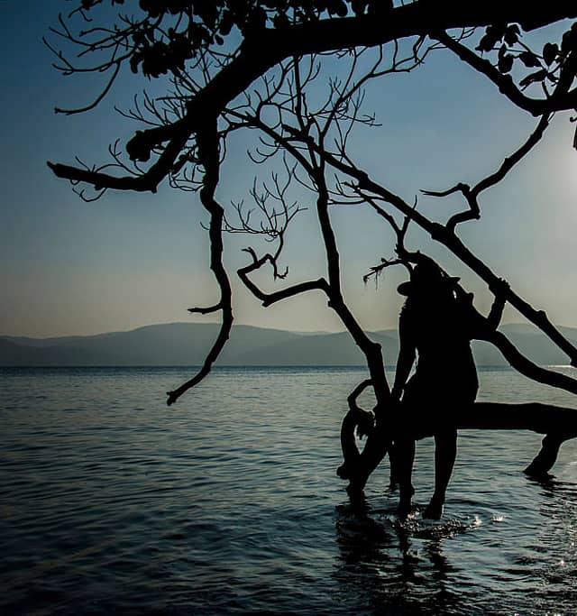 Between Land and Water