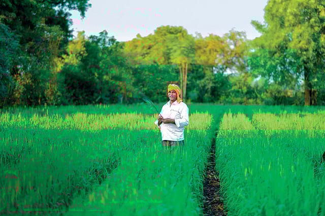 Making the Small Farmer Smile
