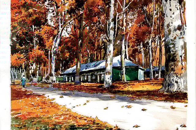 Magnificent Megaflora