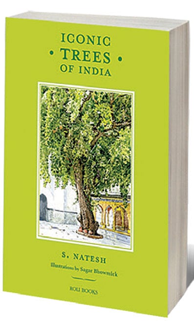 Cover of Iconic Trees of India