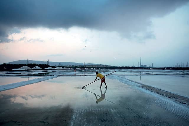 Salt and Shelter