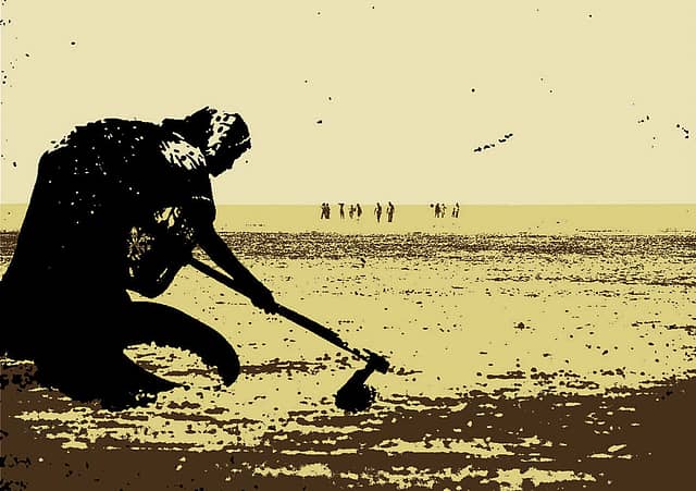 Salt and Sand
