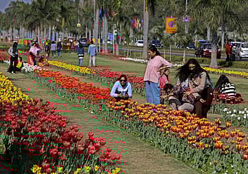 Visitors at NDMC Tulip Festival, Shantipath, New Delhi, February 13, 2025