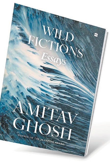 Cover of Wild Fictions