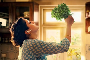 A Place In the Picture