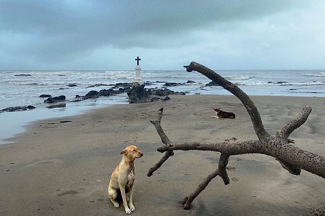 How Easy Love Can Be How Easy Love Can Be