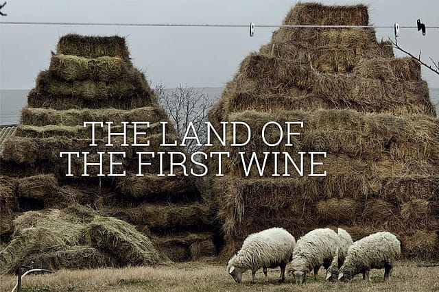 The Land of the First Wine