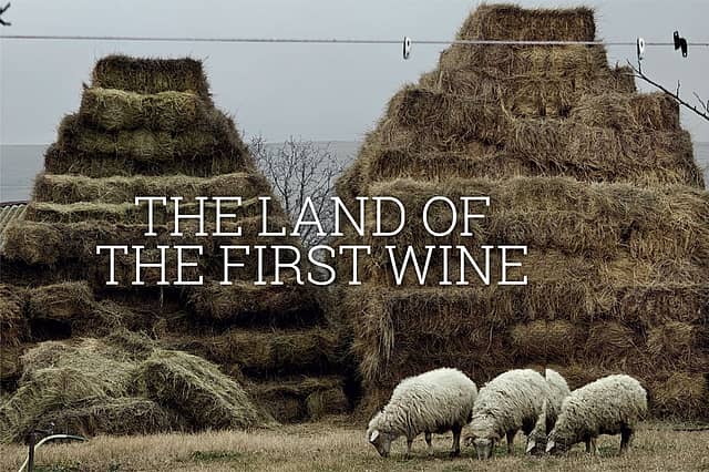 The Land of the First Wine