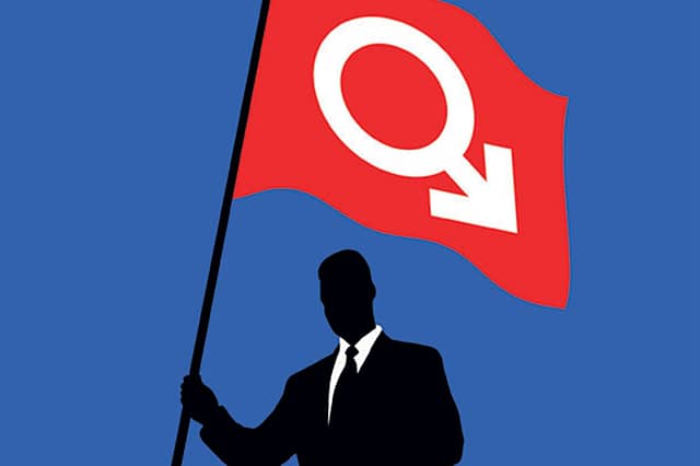 Man In Politics