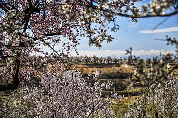 Colours in the Valley