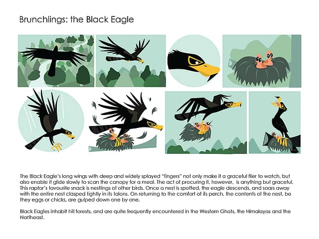 Rohan Chakravarty uses Art and Science to make Birds Come Alive