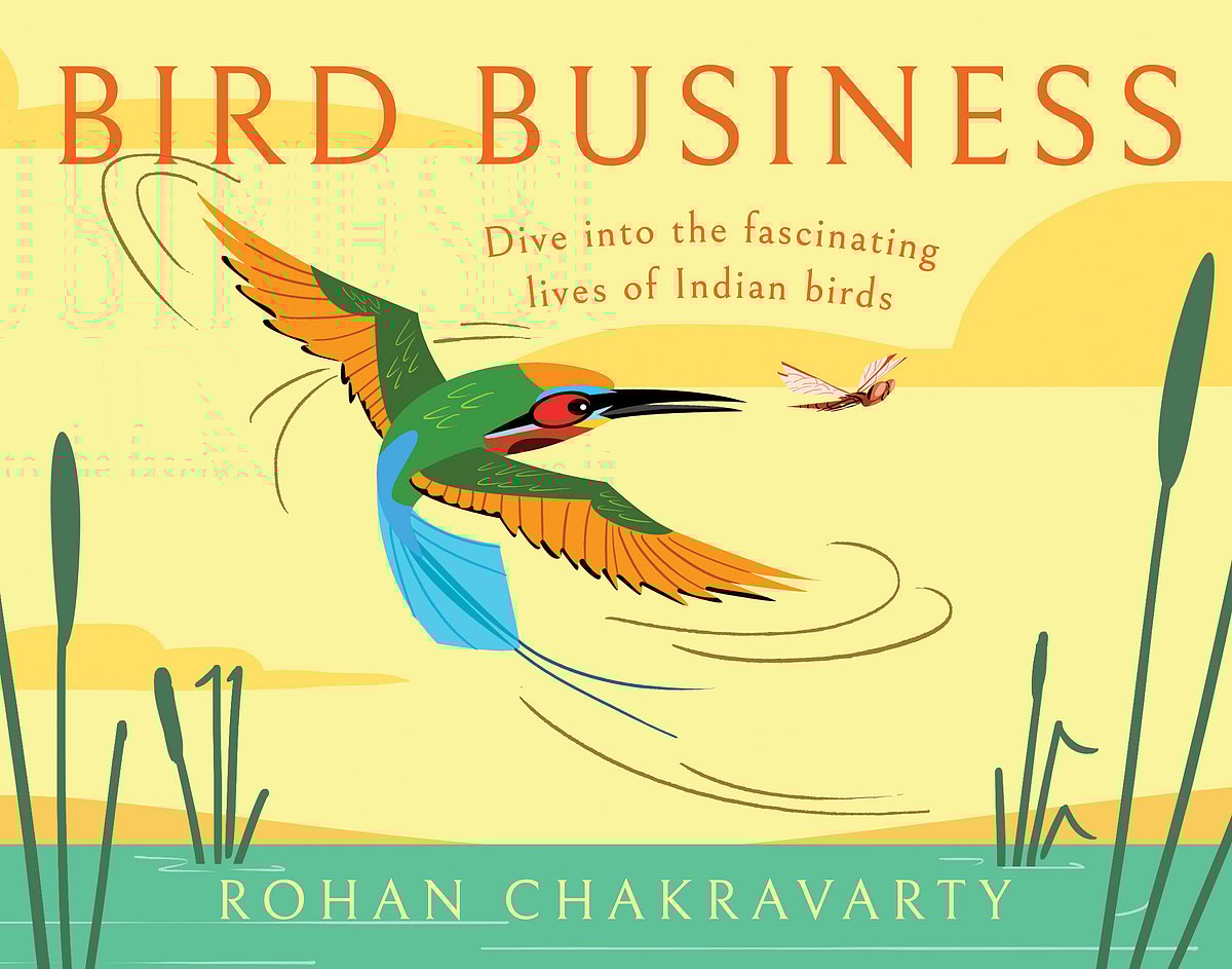 Cover of Bird Business: Dive into the fascinating lives of Indian birds