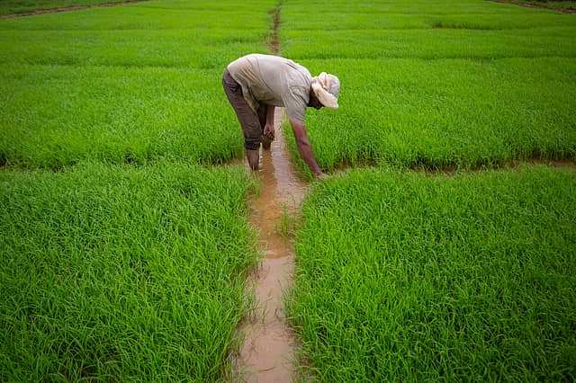 A Good Month at a Time of Global Gloom