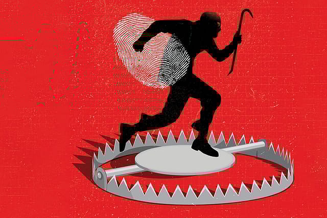 Baiting the Scammers