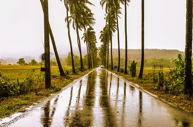 Meera Ganapathi Maps the Terrain of the Heart and Land