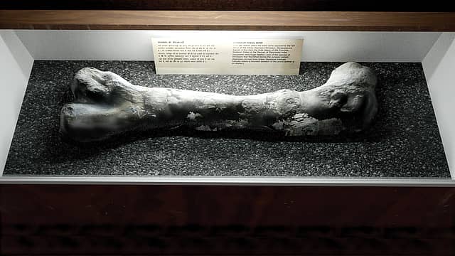 An Art Book Documents the Losses of Museum Fires