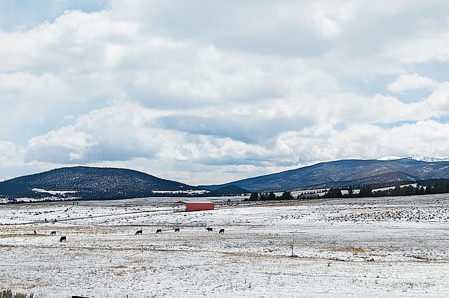 Panorama of the Past