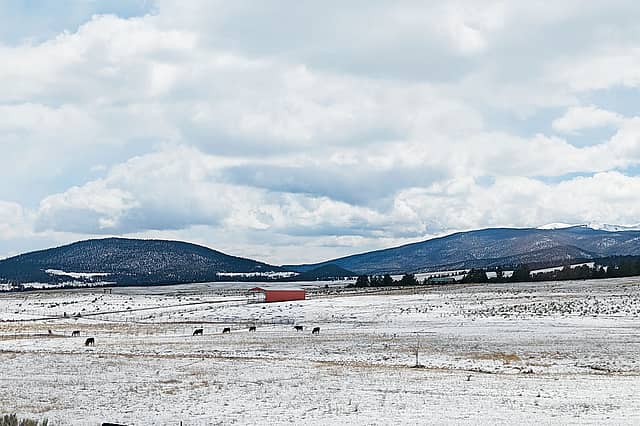 Panorama of the Past