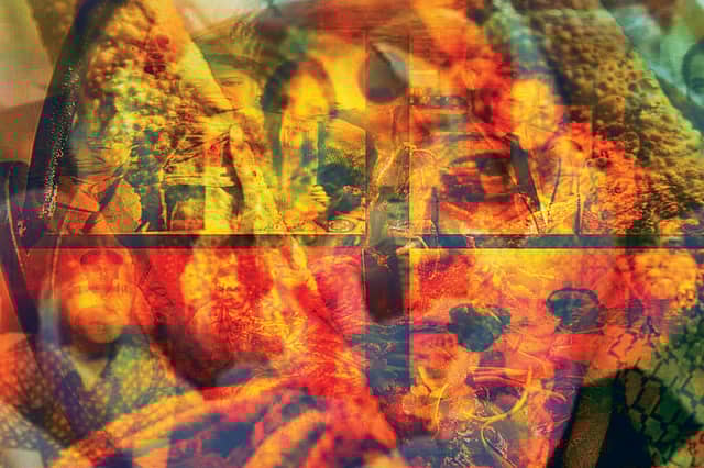 What the Wind Whispers