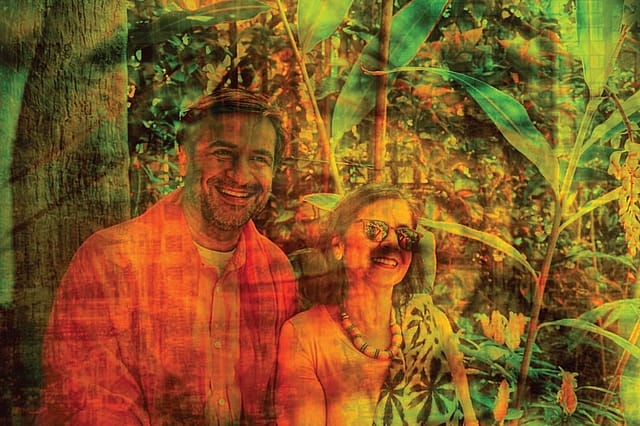 The Quiet Wisdom of Presence