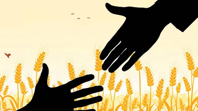 Saving the Farmer