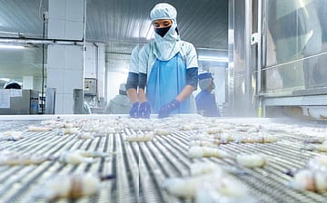 Swimming Against the Tide